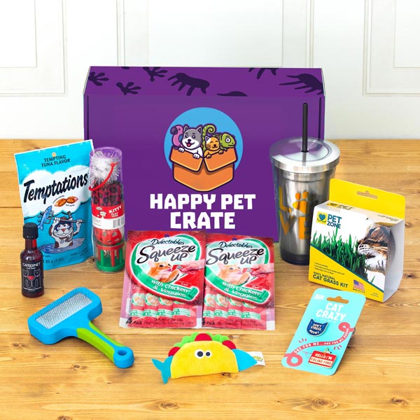 cat gift box for kitten pet owners