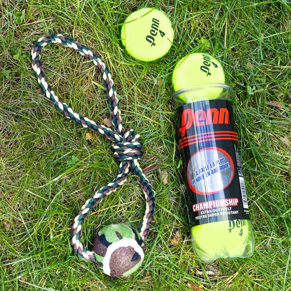 tennis balls and rope toy for dog