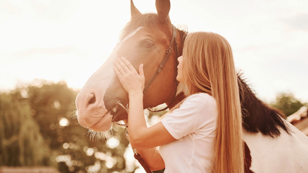 woman petting horse